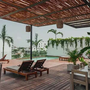 https://ah-xok-suites.allrivieramayahotels.com